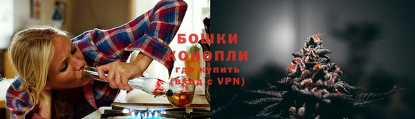 spice Каменка