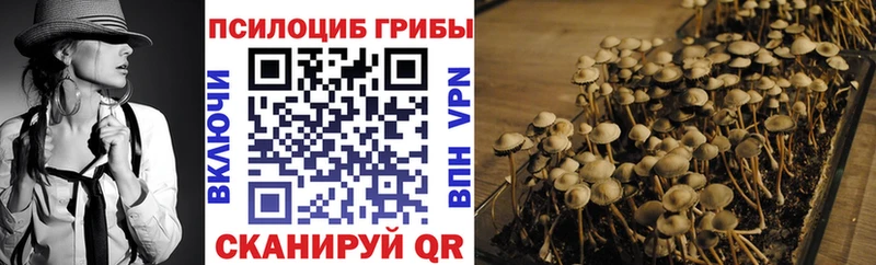 купить наркотик Певек Псилоцибиновые грибы Psilocybe